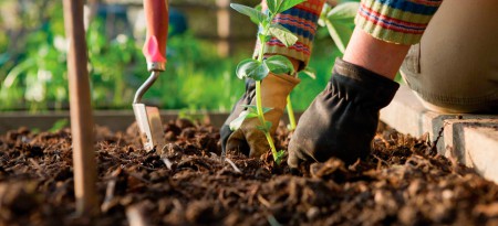 Jardinería